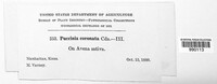 Image Associated With the Occurence